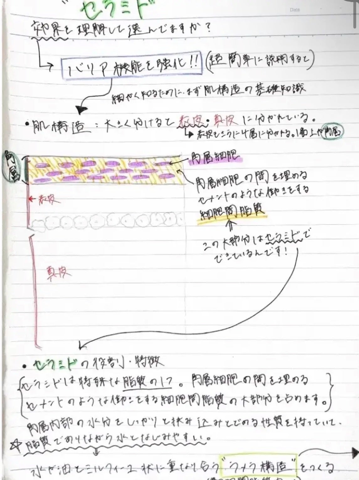 リポソーム アドバンスト リペアセラム/DECORTÉ/美容液を使ったクチコミ(1枚目)
