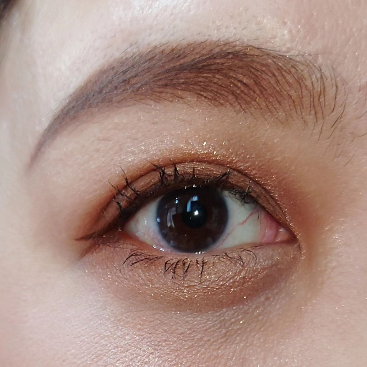 プティパレットアイズ/キャンメイク/パウダーアイシャドウを使ったクチコミ(5枚目)