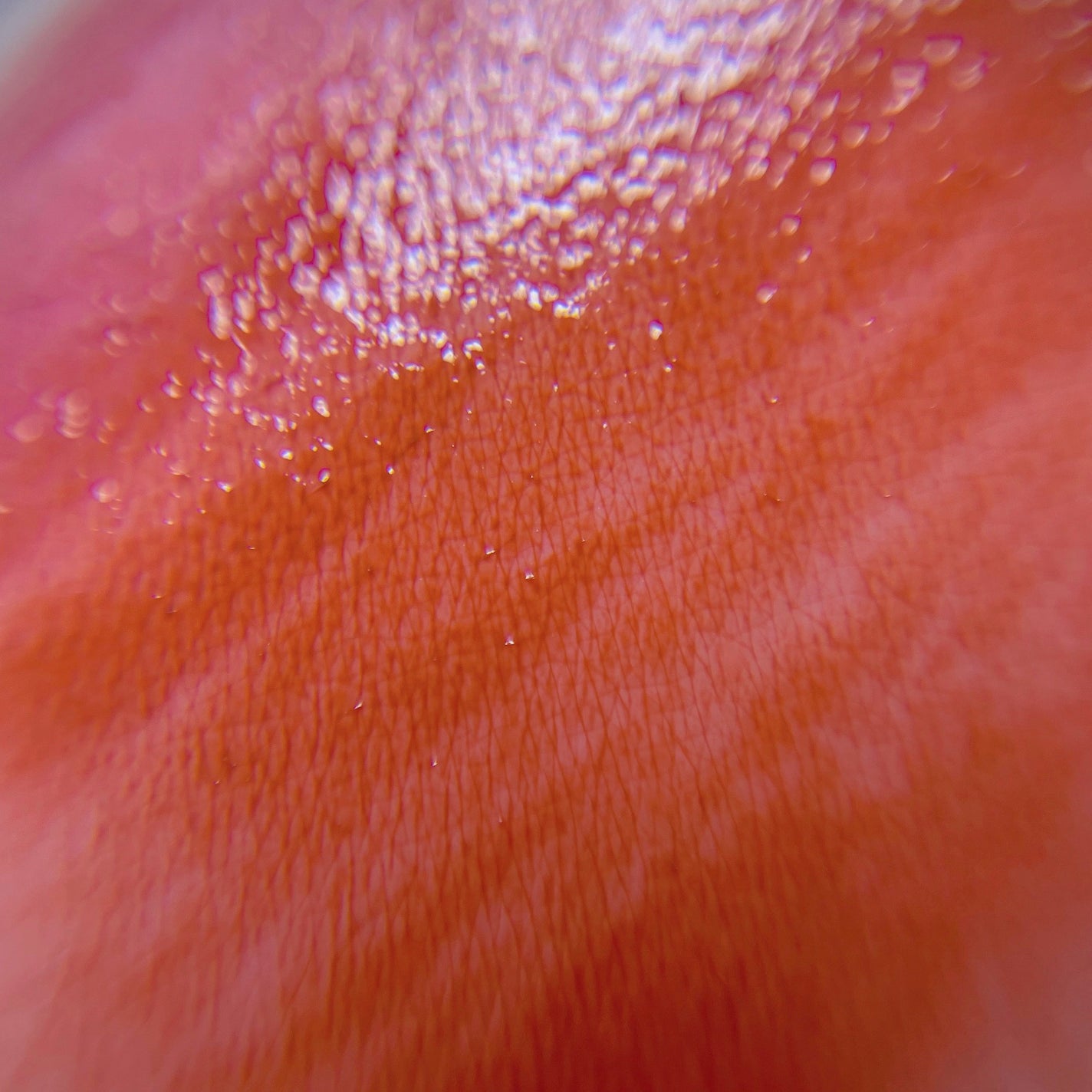 ラスティンググロスリップ/CEZANNE/口紅を使ったクチコミ(8枚目)