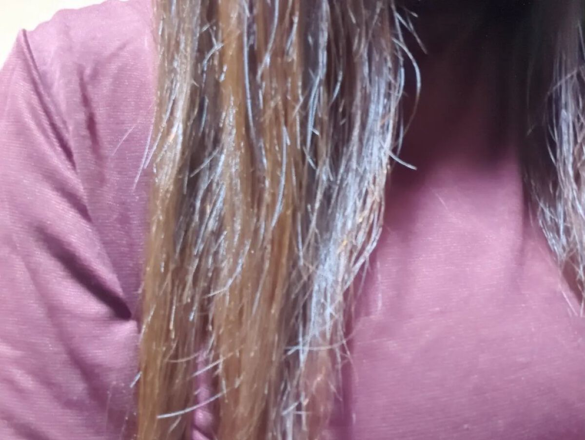 リッチモイスト シャンプー/ヘアトリートメント シャンプー（480mL）/キラージュ/市販シャンプーを使ったクチコミ（3枚目）