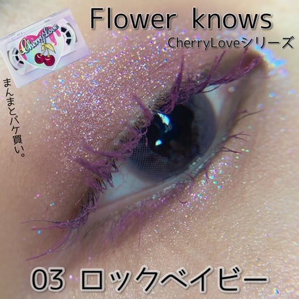 レトロマグネティック アイシャドウパレット/FlowerKnows/アイシャドウパレットを使ったクチコミ(1枚目)