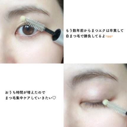 Eyebrow&Eyelash Serum/NUNSSUP JARA/まつげ美容液を使ったクチコミ(6枚目)