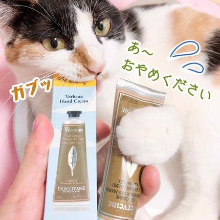 ヴァーベナ アイスハンドクリーム/L'OCCITANE/ハンドクリームを使ったクチコミ(3枚目)