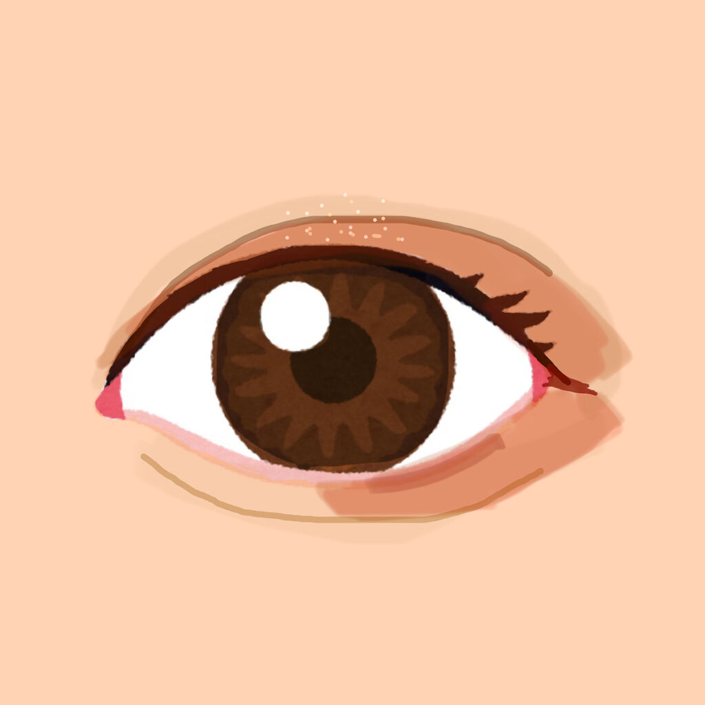 レイヤードカラーズアイシャドウ/KANEBO/アイシャドウパレットを使ったクチコミ（2枚目）