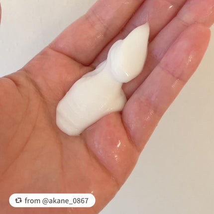 プルント コントロール美容液シャンプー/トリートメント/Purunt./市販シャンプーを使ったクチコミ(6枚目)