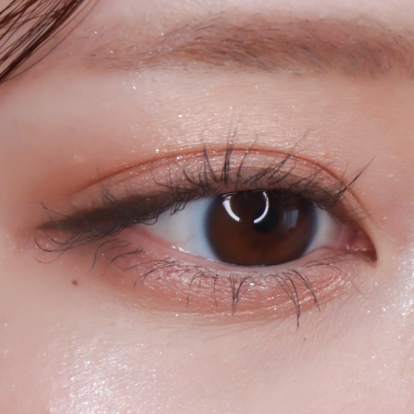 THE アイパレR/b idol/アイシャドウパレットを使ったクチコミ(7枚目)