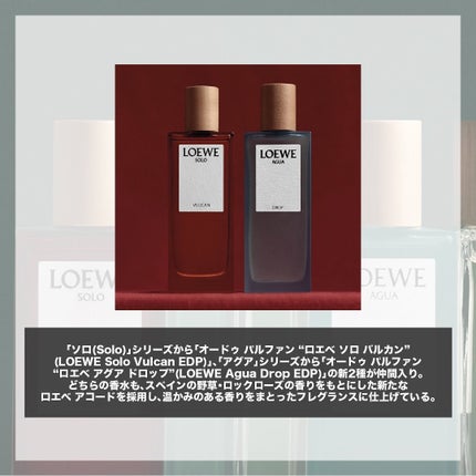 オードゥ パルファン “ロエベ ソロ バルカン” /ロエベ/香水(その他)を使ったクチコミ(2枚目)