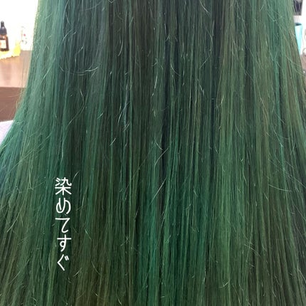N. カラーシャンプー/トリートメント/N./サロンシャンプーを使ったクチコミ(2枚目)