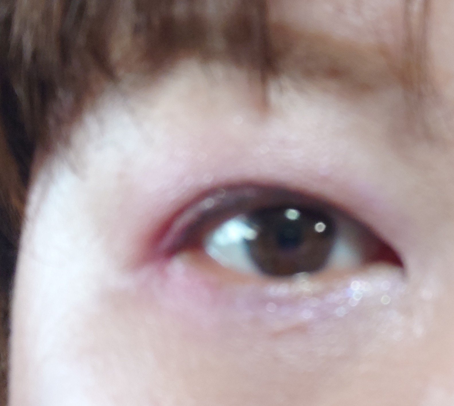 ジルスチュアート ブルームクチュール アイズ　ジュエルドブーケ 09 pansy tanzanite<パステルペタルハーモニー>（限定）/JILL STUART/アイシャドウパレットを使ったクチコミ（3枚目）