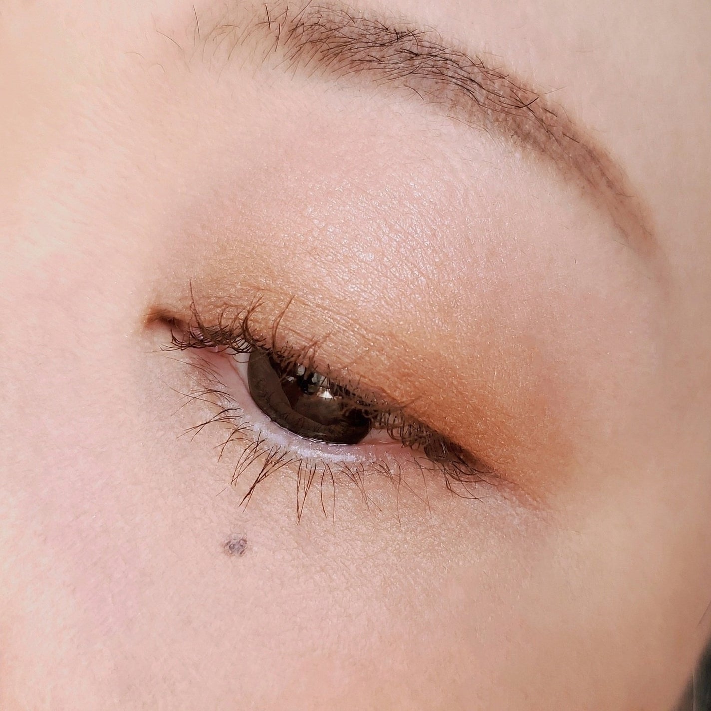 クーピー柄 アイカラーパレット/ステーショナリーコスメ/アイシャドウパレットを使ったクチコミ(3枚目)