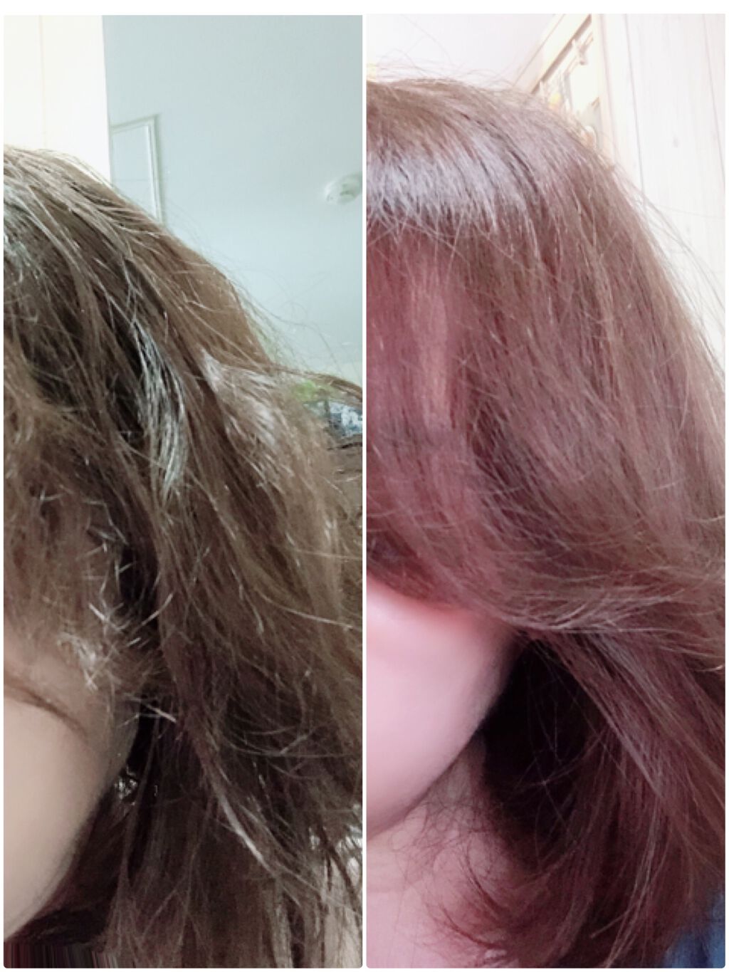 プレミアムモイスト シャンプー/ヘアコンディショナー/TSUBAKI/市販シャンプーを使ったクチコミ(5枚目)