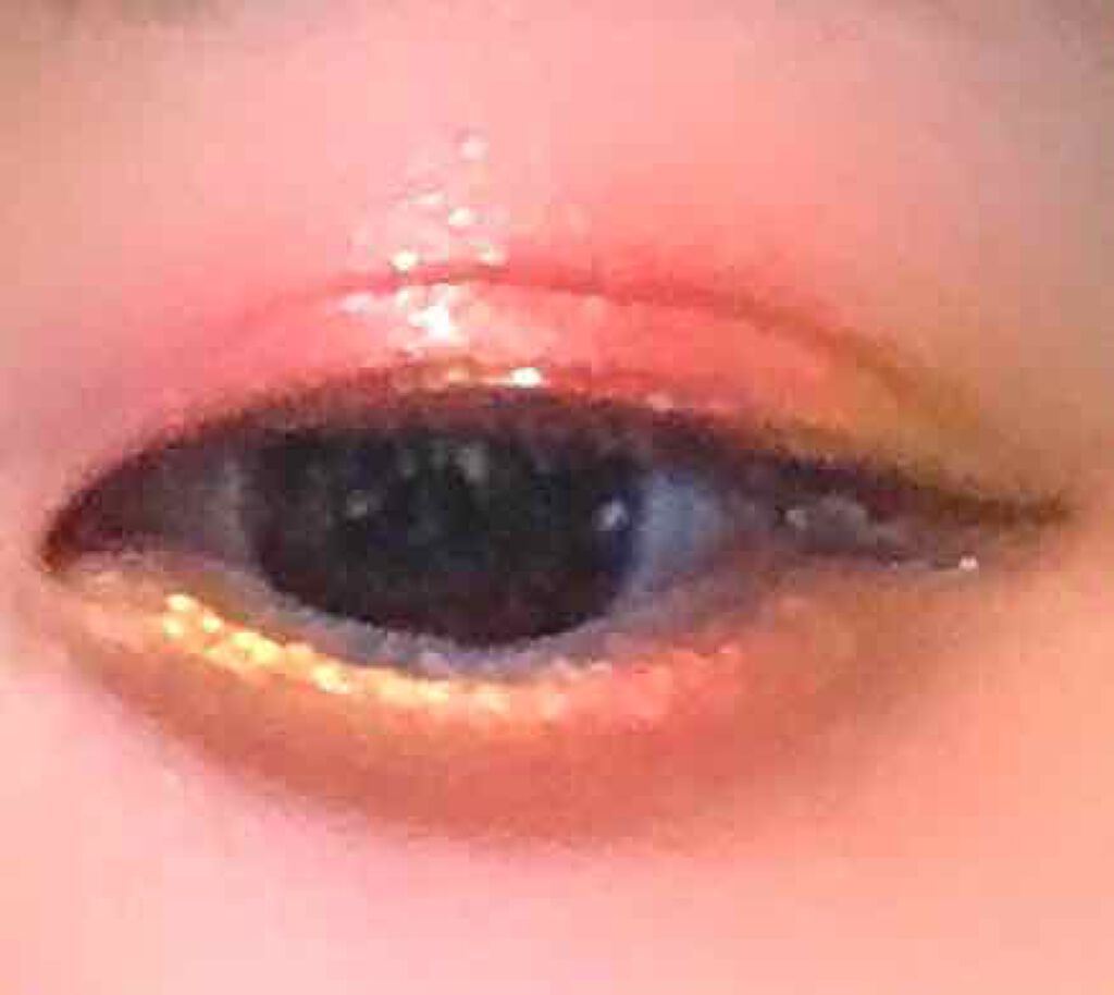 アリスドリームランドシリーズ 12色アイシャドウパレット（ZEESEA×大英博物館）/ZEESEA/アイシャドウパレットを使ったクチコミ（3枚目）