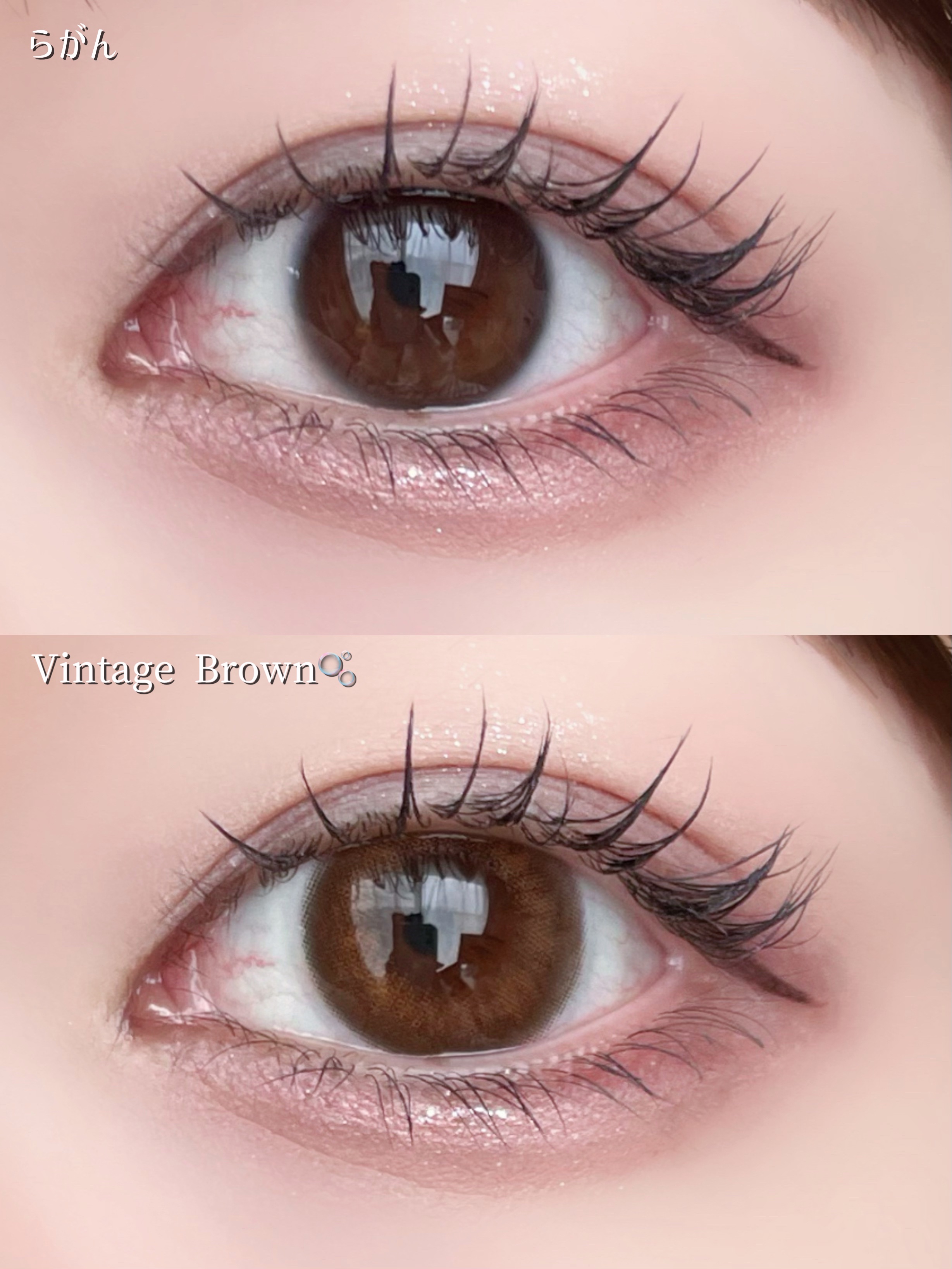 Angelcolor Bambi Series Vintage 1day ヴィンテージベアー/AngelColor/ワンデー（１DAY）カラコンを使ったクチコミ（3枚目）