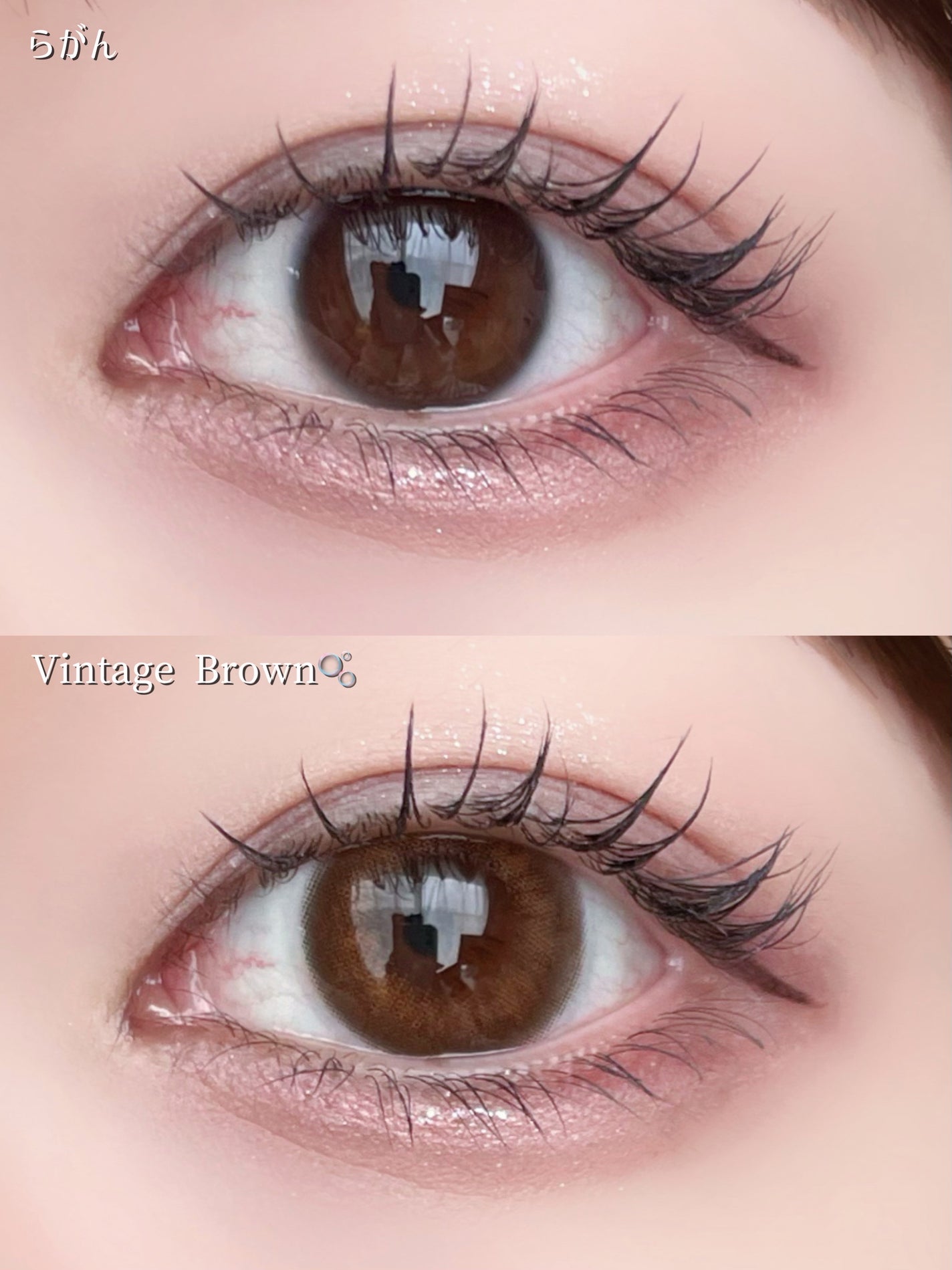 Angelcolor Bambi Series Vintage 1day/AngelColor/ワンデー(1DAY)カラコンを使ったクチコミ(3枚目)