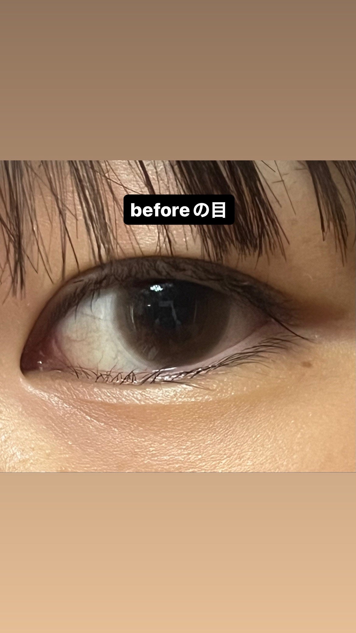 パーフェクトマルチアイズ/キャンメイク/アイシャドウパレットを使ったクチコミ(2枚目)