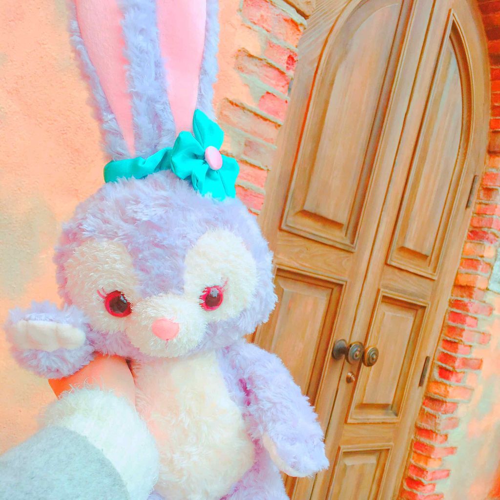 ぴょんちゃん🐰 on LIPS 「《自己紹介ᕱ⑅ᕱ💗》◎名前→ぴょんちゃん(うさぎかわいい🐰)◎..」(1枚目)