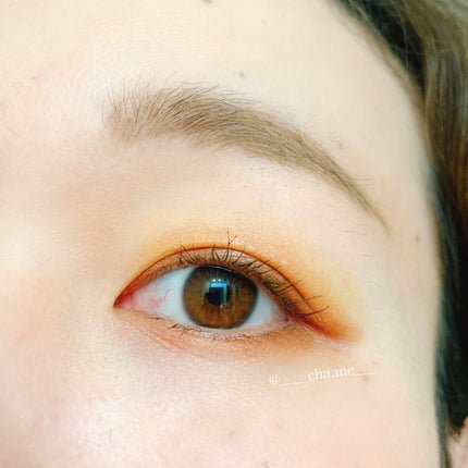 シグニチャー カラー アイズ/SUQQU/アイシャドウパレットを使ったクチコミ(2枚目)