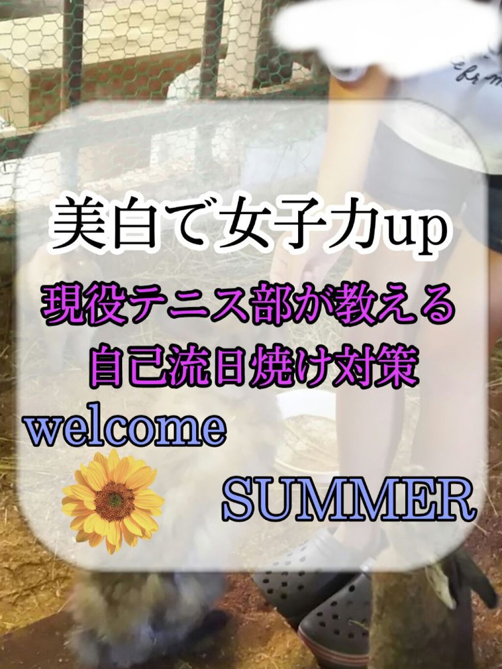 DHC ビタミンCハードカプセル/DHC/美容サプリメントを使ったクチコミ(1枚目)