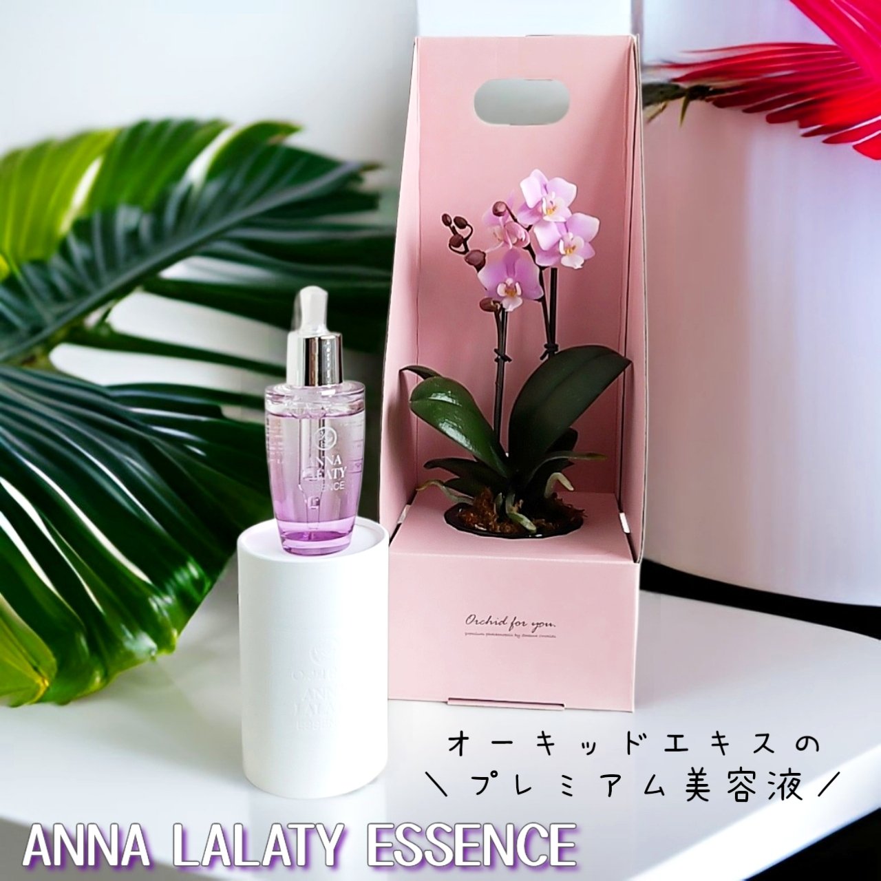 アンナララティ美容液/椎名洋ラン園/美容液を使ったクチコミ（1枚目）