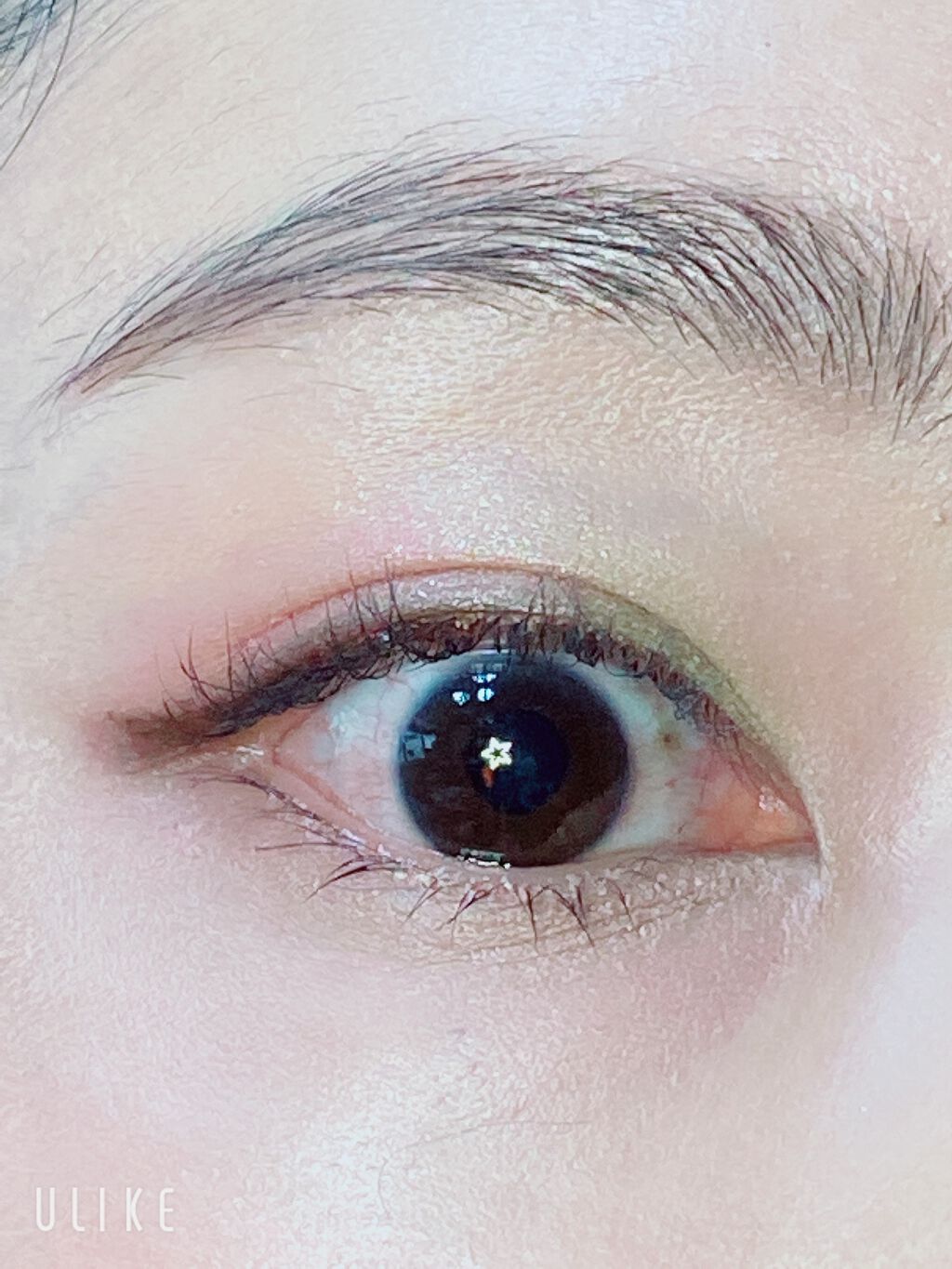 ミネラルクラッシィシャドー/エトヴォス/アイシャドウパレットを使ったクチコミ（3枚目）