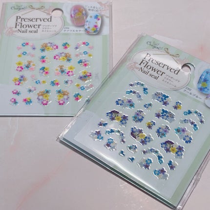 ネイルシール/キャンドゥ/ネイルシールを使ったクチコミ(2枚目)