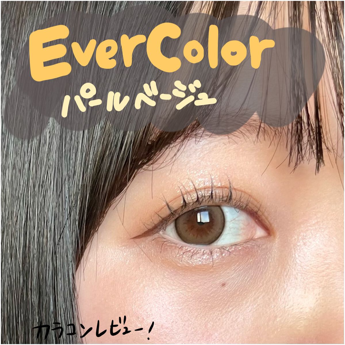 エバーカラーワンデー ナチュラル/エバーカラー/ワンデー(1DAY)カラコンを使ったクチコミ(1枚目)