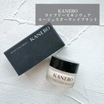 クリーム イン デイ/KANEBO/フェイスクリームを使ったクチコミ(1枚目)