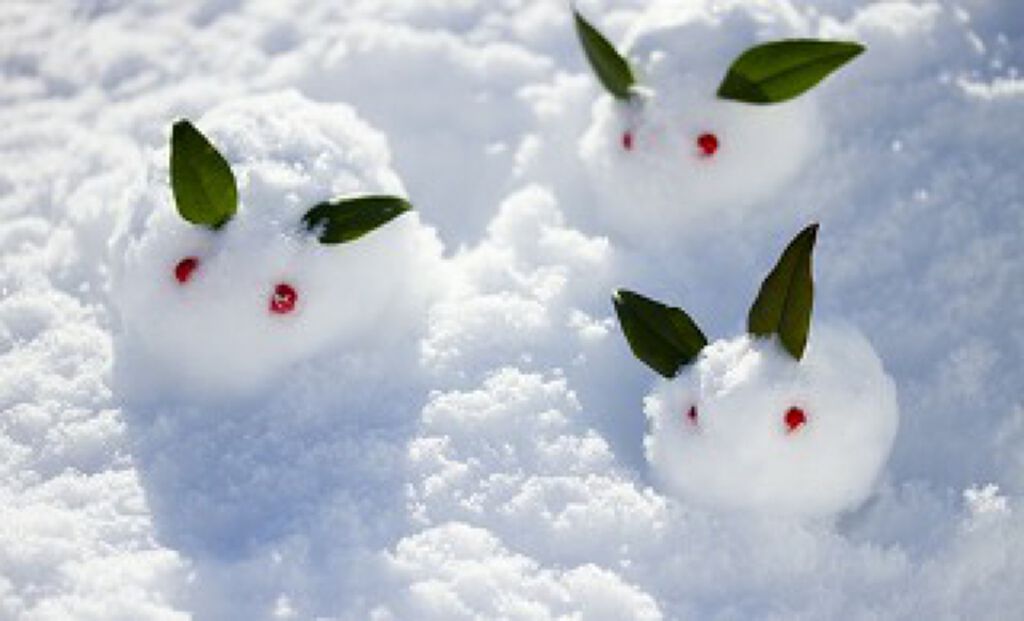 自己紹介/雑談/その他を使ったクチコミ（1枚目）