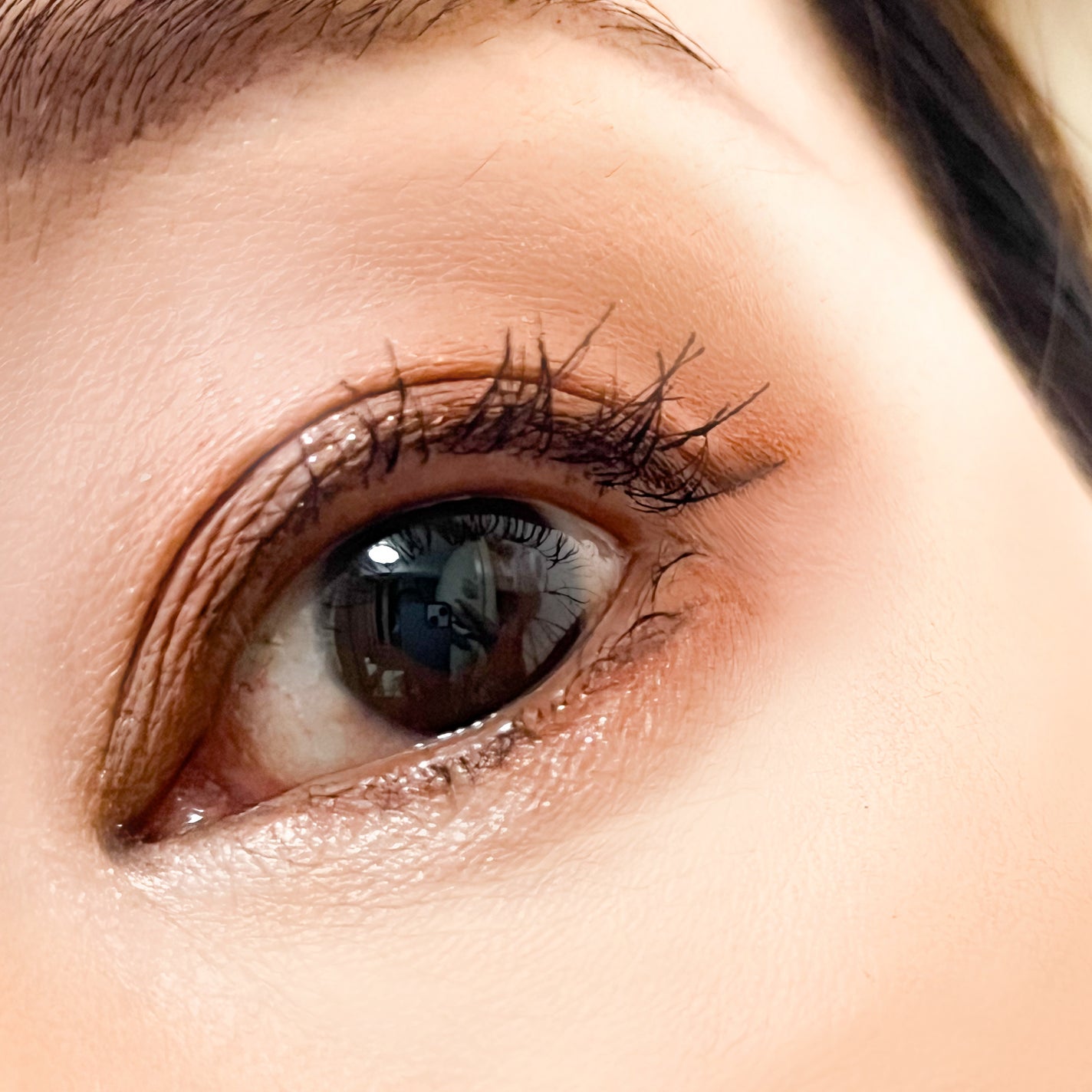 ホーリーモリーレイヤーパレット/HAKIT/アイシャドウパレットを使ったクチコミ(6枚目)