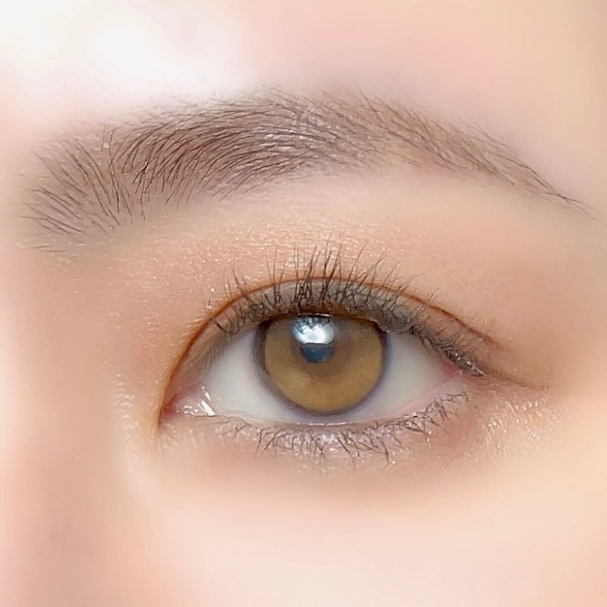 テイスティングライフアイシャドウパレット/INTO U/アイシャドウパレットを使ったクチコミ(10枚目)