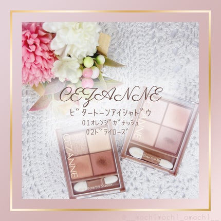 ビタートーンアイシャドウ/CEZANNE/パウダーアイシャドウを使ったクチコミ(1枚目)