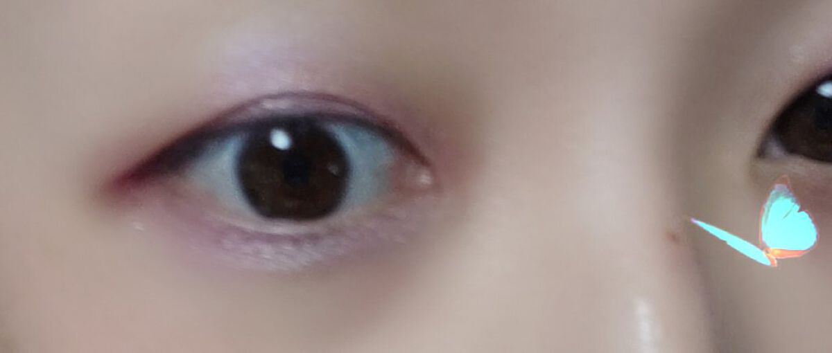 エクスプローラ12色 動物アイシャドウパレット/PERFECT DIARY/アイシャドウパレットを使ったクチコミ（3枚目）