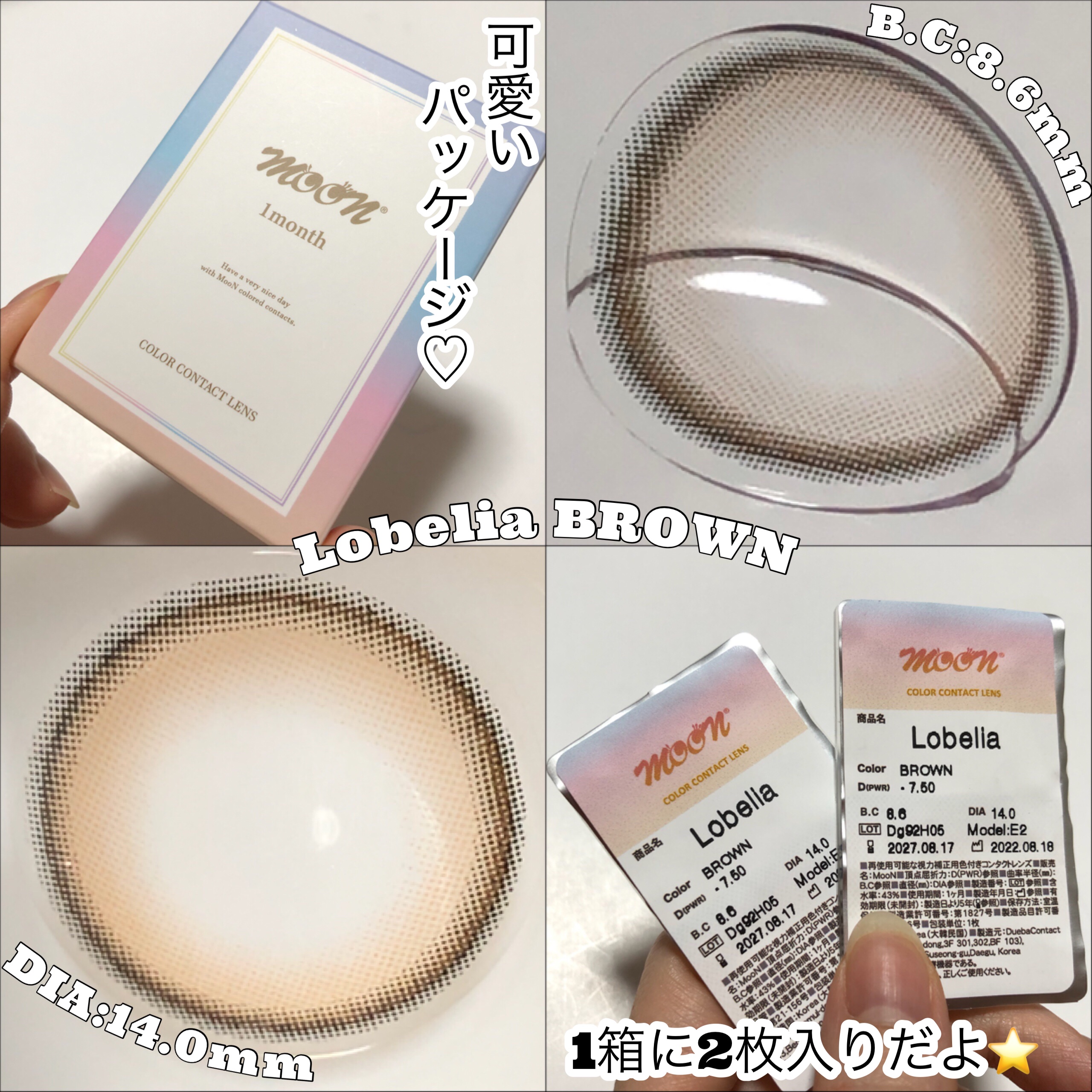 Lobelia(ロベリア) ブラウン