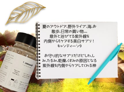 DHC 持続型ビタミンC/DHC/美容サプリメントを使ったクチコミ(3枚目)