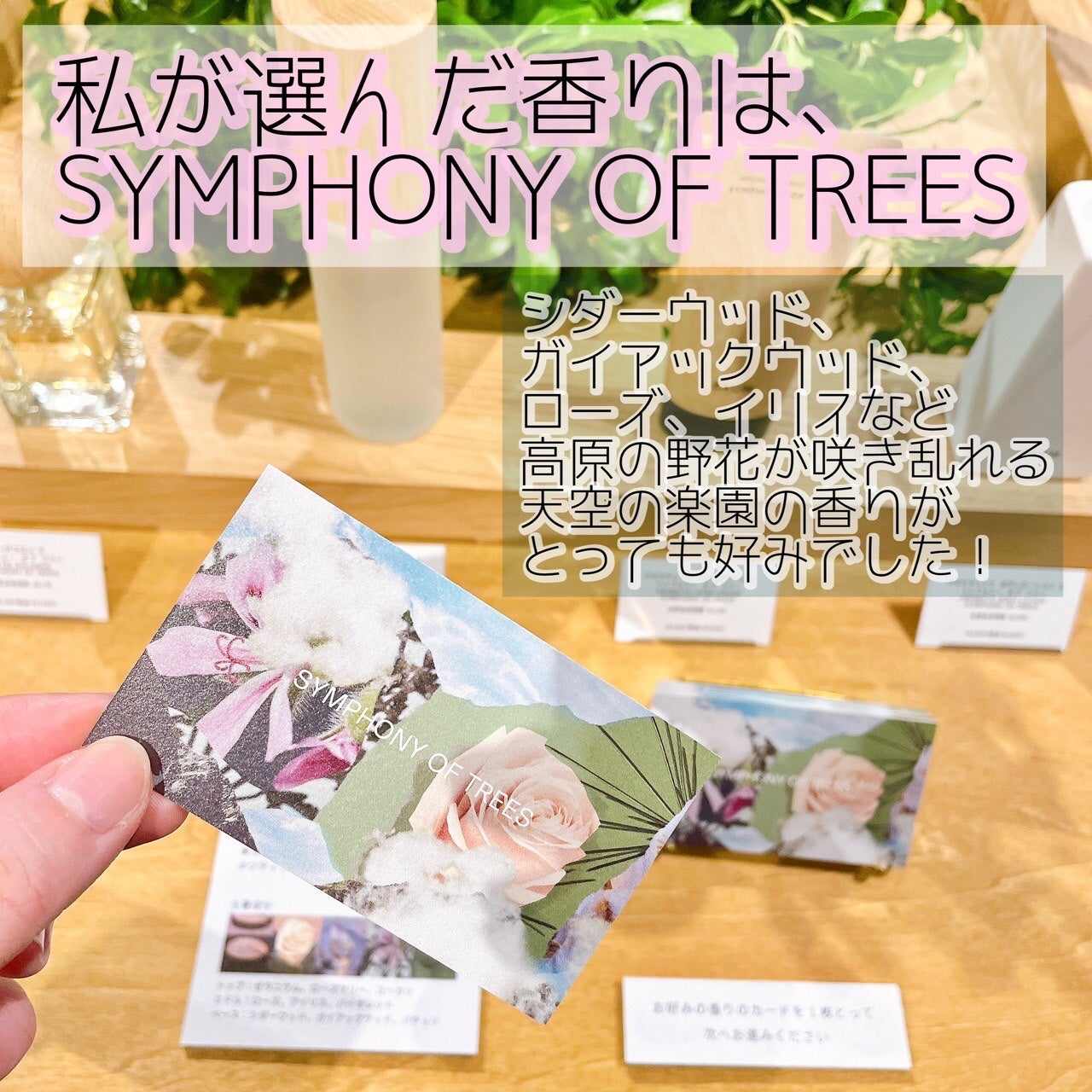 waniwaniコスメ@ふぉろば on LIPS 「BAUMブランド初のPOPUPイベントに参加しました!BAUM..」(4枚目)