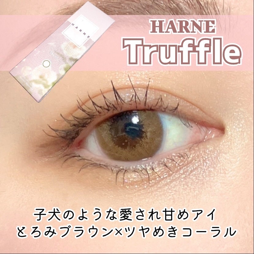 HARNE 1day/HARNE/ワンデー(1DAY)カラコンを使ったクチコミ(1枚目)