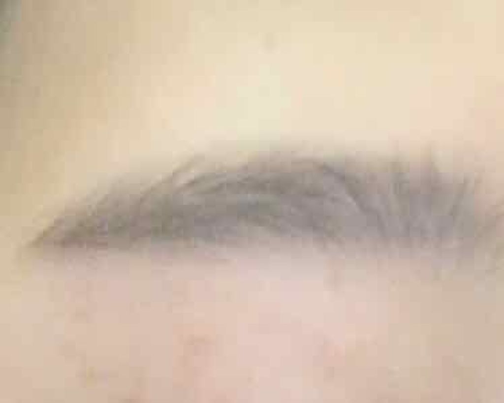 ノーズ&アイブロウパウダー/CEZANNE/パウダーアイブロウを使ったクチコミ(2枚目)