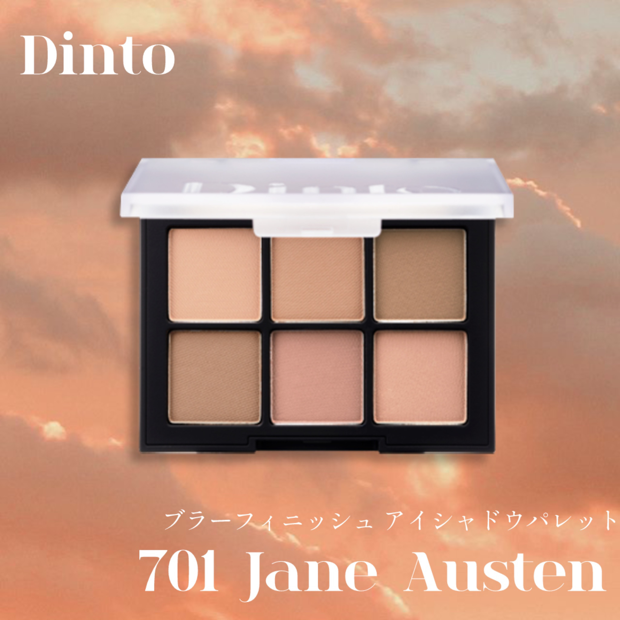 ブラーフィニシュシャドウパレット 701 ジェーンオースティン/Dinto/アイシャドウパレットを使ったクチコミ（1枚目）