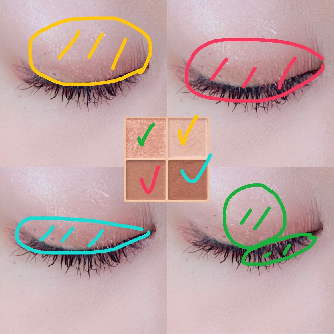 ベージュトーンアイシャドウ/CEZANNE/アイシャドウパレットを使ったクチコミ（2枚目）