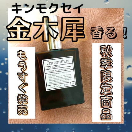 フレグランスボディミスト グリーンティ/フェルナンダ/香水(その他)を使ったクチコミ(3枚目)