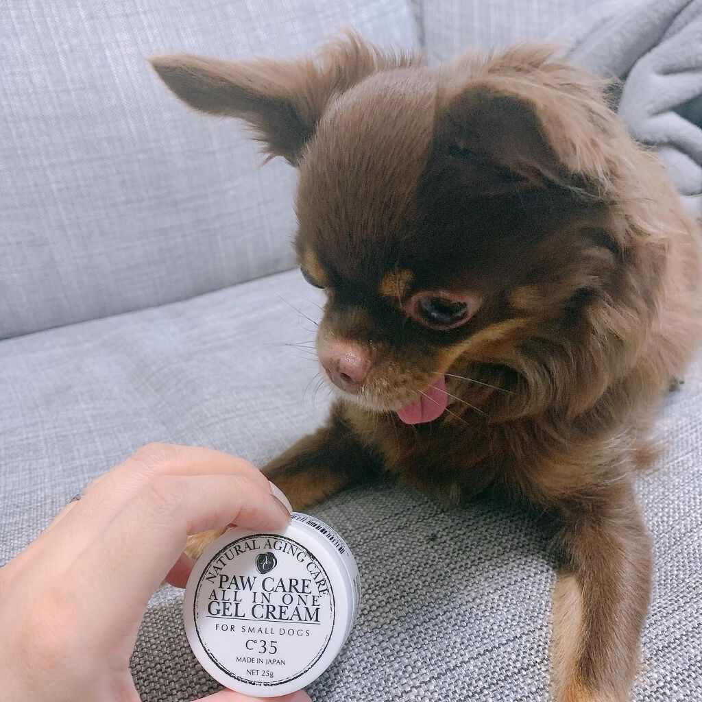 saaa on LIPS 「犬と人が使えるクリーム✨愛犬の肉球のカサカサが気になっていて初..」(2枚目)