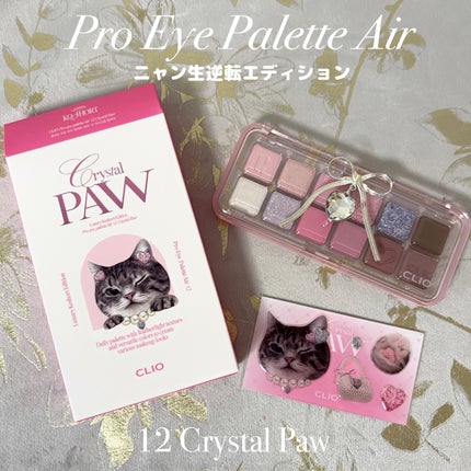 プロ アイ パレット エアー/CLIO/アイシャドウパレットを使ったクチコミ(5枚目)