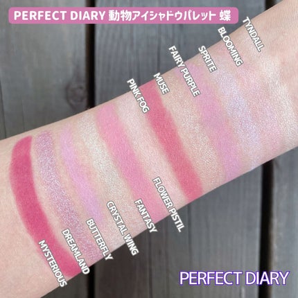 エクスプローラ12色 動物アイシャドウパレット/PERFECT DIARY/アイシャドウパレットを使ったクチコミ(4枚目)