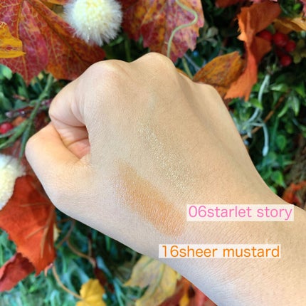 ルージュ デコルテ 16/DECORTÉ/口紅を使ったクチコミ(2枚目)