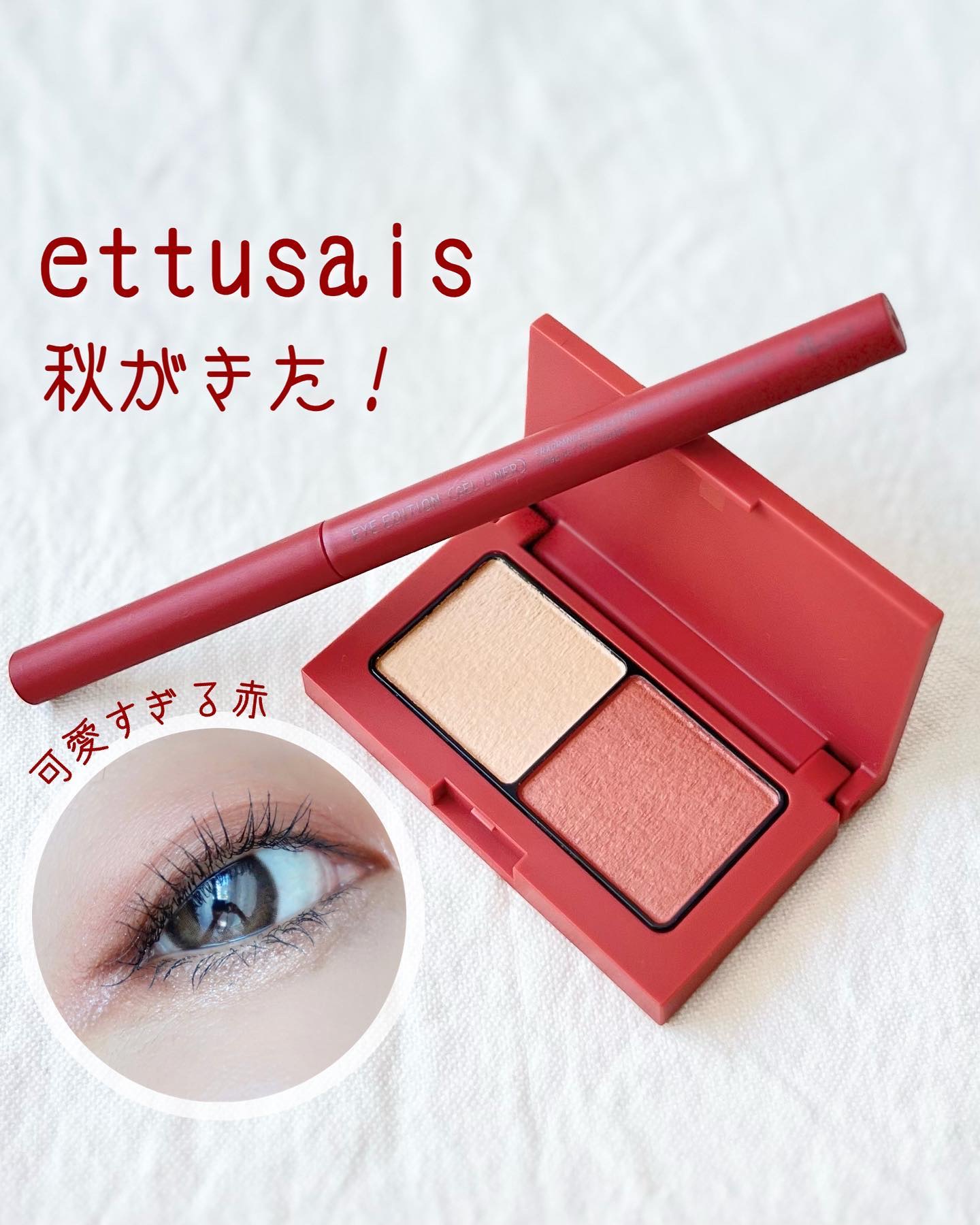 エテュセ アイエディション(カラーパレット)/ettusais/アイシャドウパレットを使ったクチコミ（1枚目）