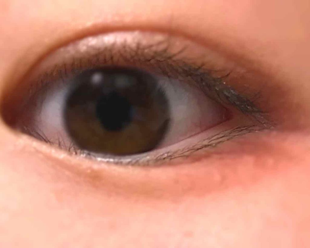 アイニュアンス/キャンメイク/アイシャドウパレットを使ったクチコミ（2枚目）