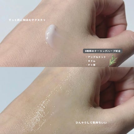 セルターンクリーム 100ml/リリーイブ/フェイスクリームを使ったクチコミ(4枚目)