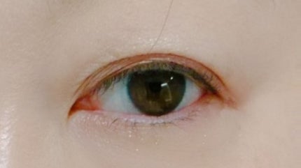 リアルクローズシャドウ/excel/アイシャドウパレットを使ったクチコミ(2枚目)