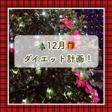 ※雑談※12月のダイエット計画🙋‍♀️💖今年ラスト！！


✿目標✿
今月の目標は、「今」できることを継続！
→毎月目標を立てたりいろいろ試してみたりするうちに、あれもこれもと欲張ったり気になったりする