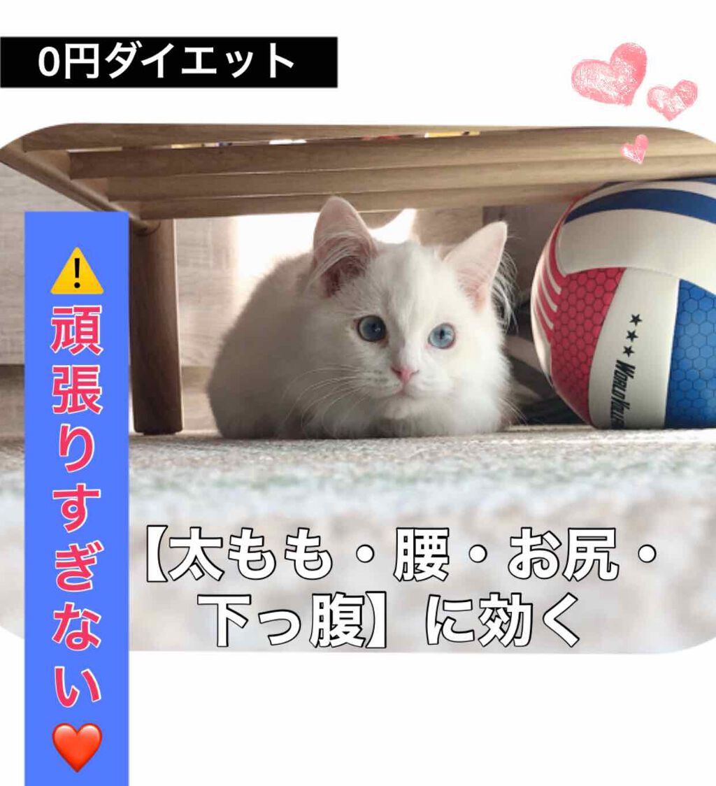 今日も10分DIET運動しました❤

やる事は１つだけなので、飽きやすい私でも続けられています٩(๑>∀<๑)۶♥Fight♥

※写真の猫ちゃんは我が家の猫です🐈

やり方は前回説明していますが、確認できなかった方の為に、
⬇︎⬇︎⬇︎